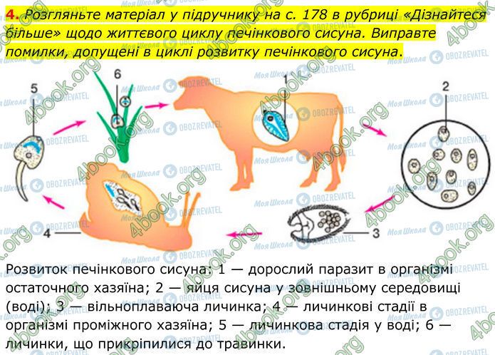 ГДЗ Биология 7 класс страница Стр.68 (4)