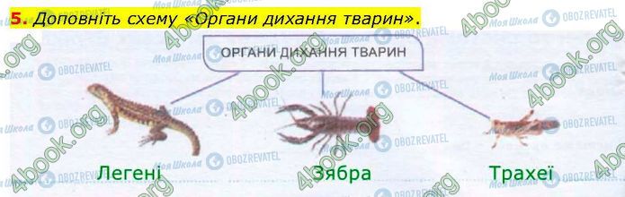 ГДЗ Биология 7 класс страница Стр.58 (5)
