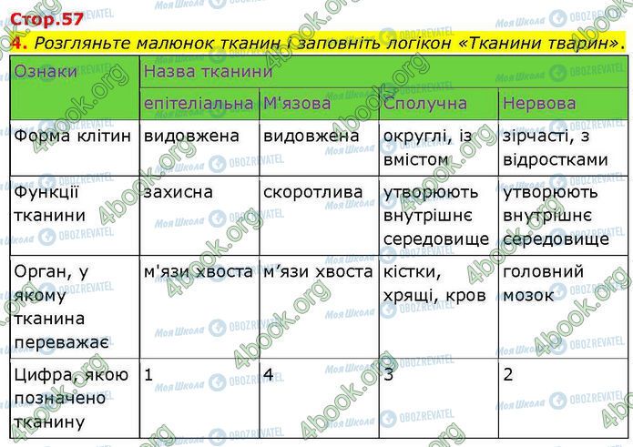 ГДЗ Биология 7 класс страница Стр.57 (4)