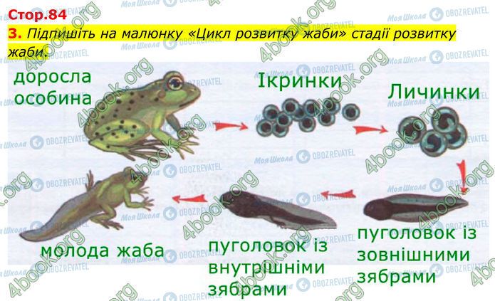 ГДЗ Биология 7 класс страница Стр.84 (3)