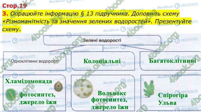 ГДЗ Биология 7 класс страница Стр.19 (3)