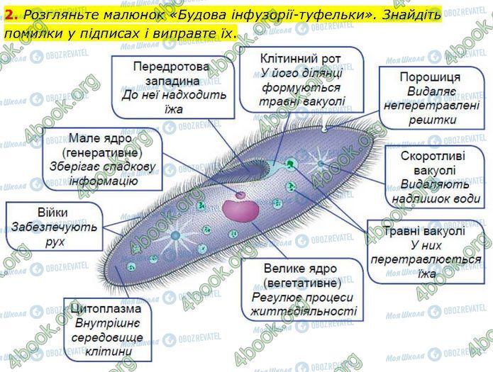ГДЗ Біологія 7 клас сторінка Стр.14 (2)