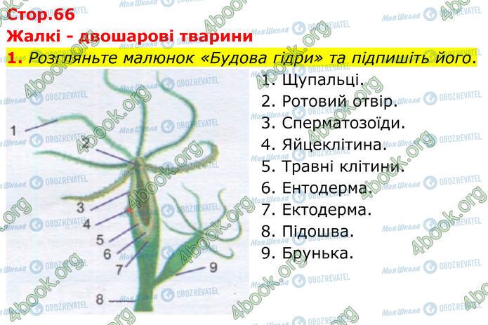 ГДЗ Биология 7 класс страница Стр.66 (1)