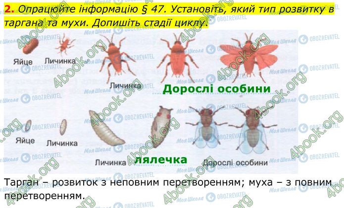 ГДЗ Биология 7 класс страница Стр.75 (2)
