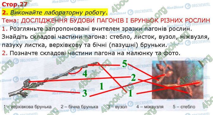 ГДЗ Биология 7 класс страница Стр.27 (2.1)