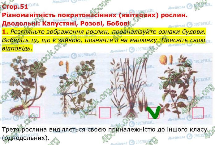 ГДЗ Биология 7 класс страница Стр.51 (1)