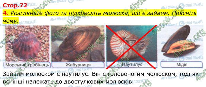 ГДЗ Биология 7 класс страница Стр.72 (4)