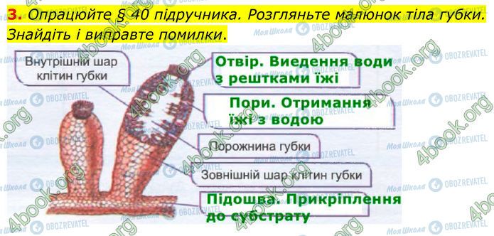ГДЗ Биология 7 класс страница Стр.65 (3)
