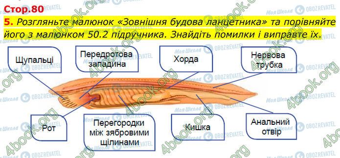 ГДЗ Биология 7 класс страница Стр.80 (5)