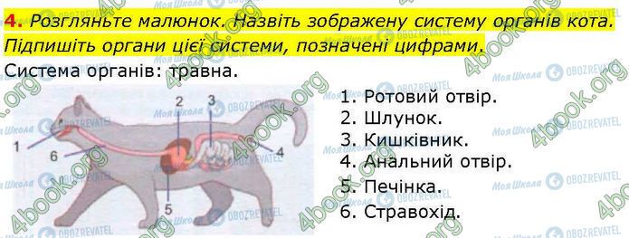 ГДЗ Биология 7 класс страница Стр.58 (4)