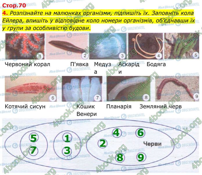 ГДЗ Биология 7 класс страница Стр.70