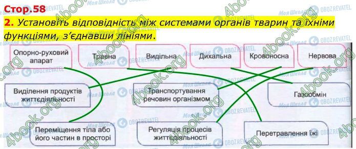 ГДЗ Биология 7 класс страница Стр.58 (2)