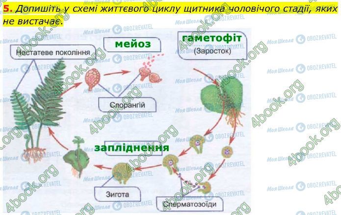 ГДЗ Биология 7 класс страница Стр.39 (5)