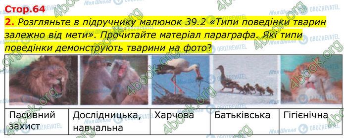 ГДЗ Биология 7 класс страница Стр.64 (2)