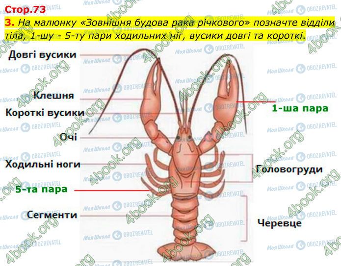 ГДЗ Биология 7 класс страница Стр.73 (3)