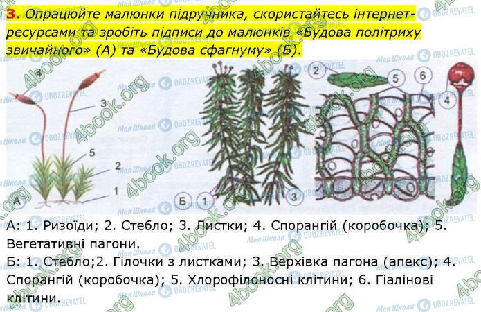 ГДЗ Биология 7 класс страница Стр.35 (3.1)