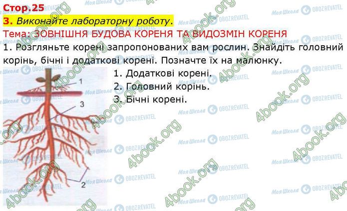 ГДЗ Биология 7 класс страница Стр.25 (3.1)