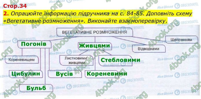 ГДЗ Биология 7 класс страница Стр.34 (2)