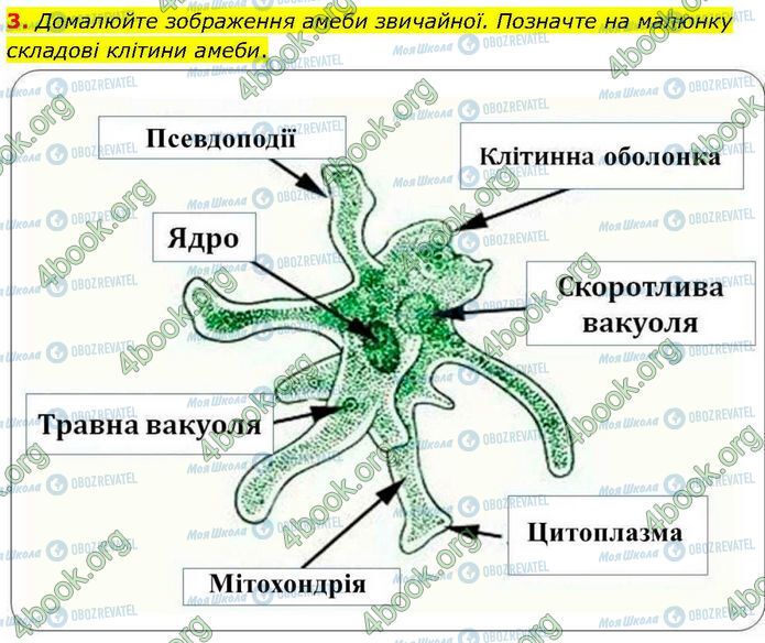 ГДЗ Біологія 7 клас сторінка Стр.16 (3)