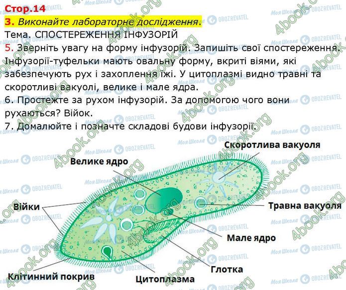 ГДЗ Біологія 7 клас сторінка Стр.14 (3)