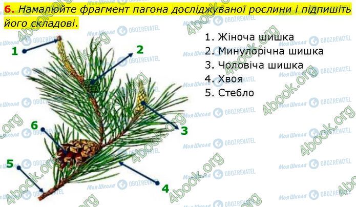 ГДЗ Біологія 7 клас сторінка Стр.43 (3.2)