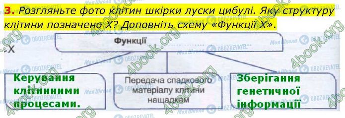 ГДЗ Біологія 7 клас сторінка Стр.8 (3)