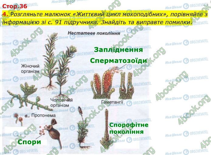ГДЗ Биология 7 класс страница Стр.36 (4)