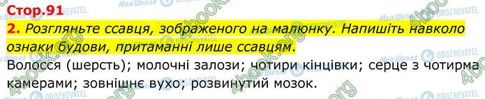 ГДЗ Біологія 7 клас сторінка Стр.91 (2)