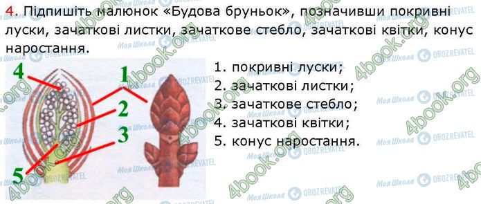 ГДЗ Биология 7 класс страница Стр.27 (2.4)