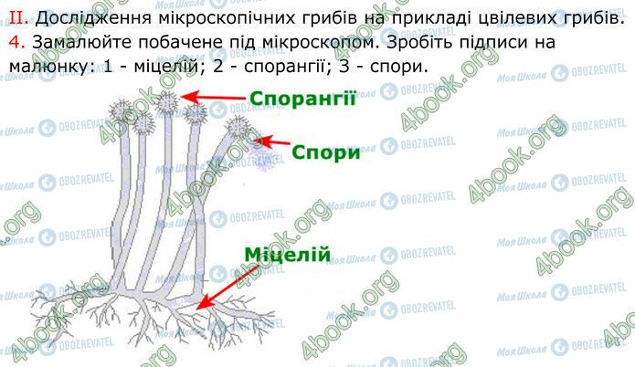 ГДЗ Биология 7 класс страница Стр.96 (3.2)