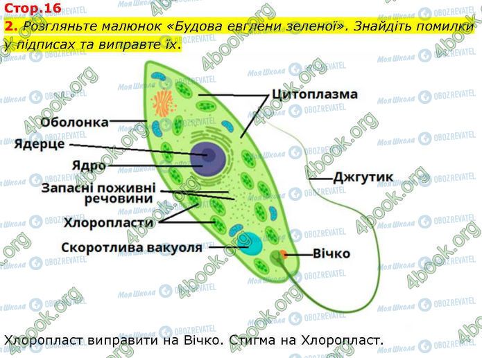 ГДЗ Біологія 7 клас сторінка Стр.16 (2)