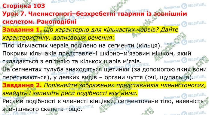 ГДЗ Біологія 7 клас сторінка Стр.103 (1-2)