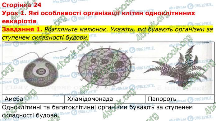 ГДЗ Биология 7 класс страница Стр.24 (1)