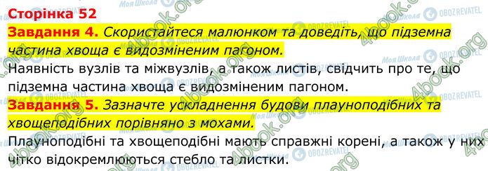 ГДЗ Біологія 7 клас сторінка Стр.52 (4-5)