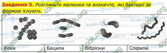 ГДЗ Биология 7 класс страница Стр.18 (3)