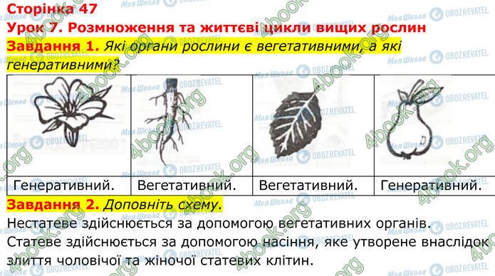 ГДЗ Біологія 7 клас сторінка Стр.47 (1-2)