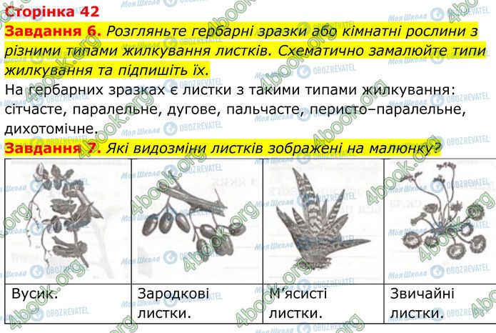 ГДЗ Біологія 7 клас сторінка Стр.42 (6-7)