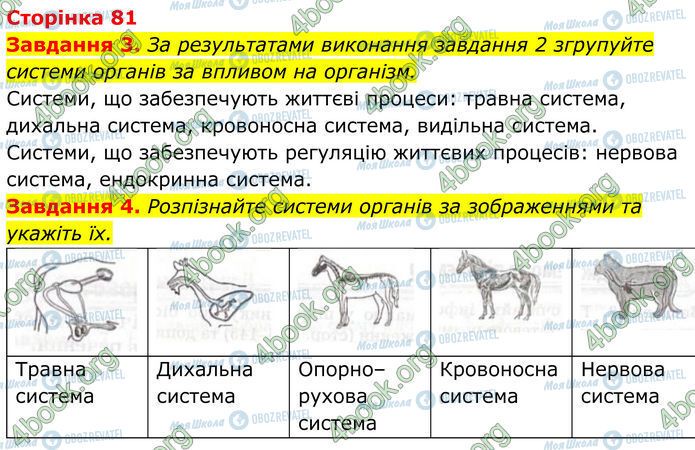 ГДЗ Біологія 7 клас сторінка Стр.81 (3-4)
