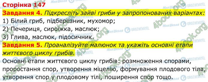 ГДЗ Биология 7 класс страница Стр.147 (4-5)