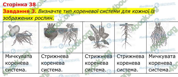 ГДЗ Біологія 7 клас сторінка Стр.38 (3)