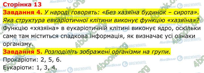 ГДЗ Биология 7 класс страница Стр.13 (4-5)