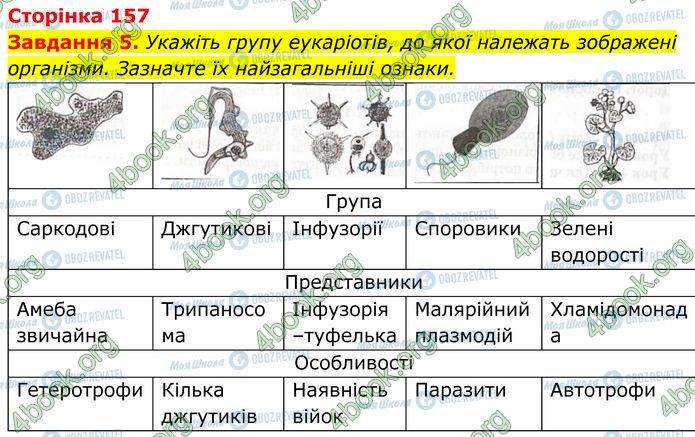 ГДЗ Біологія 7 клас сторінка Стр.157 (5)