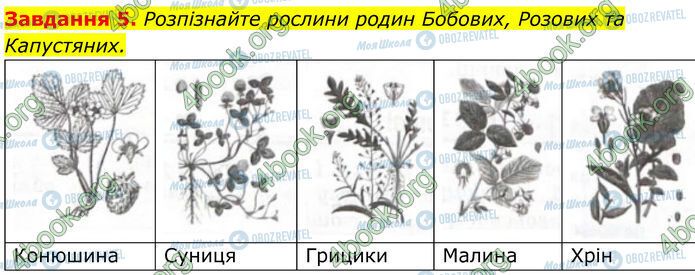 ГДЗ Биология 7 класс страница Стр.72 (5)