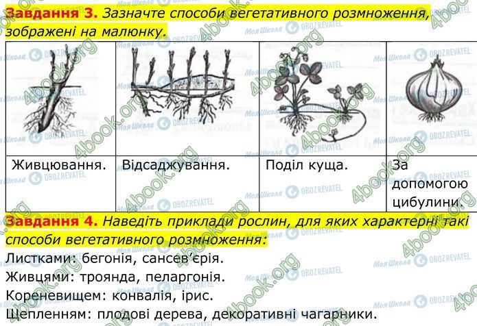 ГДЗ Біологія 7 клас сторінка Стр.47 (3-4)