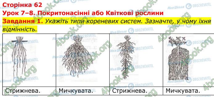 ГДЗ Біологія 7 клас сторінка Стр.62 (1)