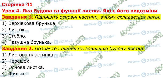 ГДЗ Біологія 7 клас сторінка Стр.41 (1-2)