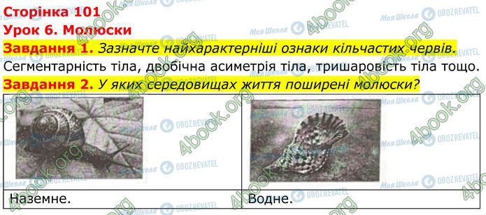 ГДЗ Біологія 7 клас сторінка Стр.101 (1-2)