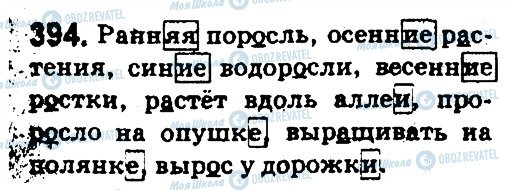 ГДЗ Російська мова 5 клас сторінка 394