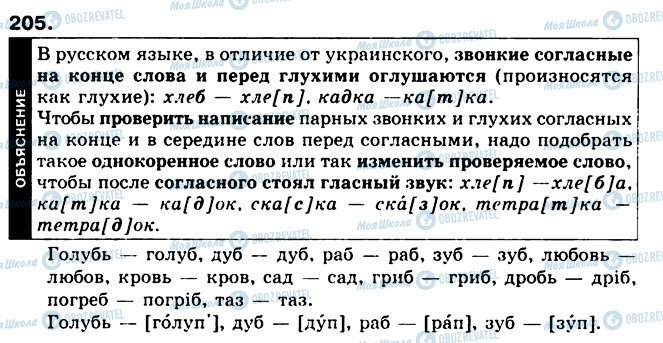 ГДЗ Російська мова 5 клас сторінка 205