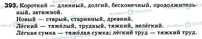 ГДЗ Російська мова 5 клас сторінка 393